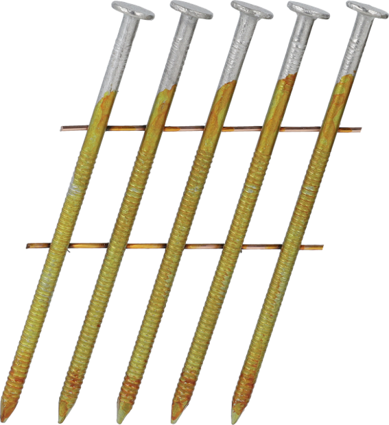 BLxxASBF-CN-ANGLE_01.psd